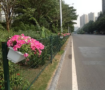 生態園91免费视频大全網